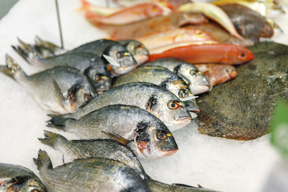 Pescadería - Pescado fresco